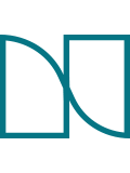 Direct Impact Consulting